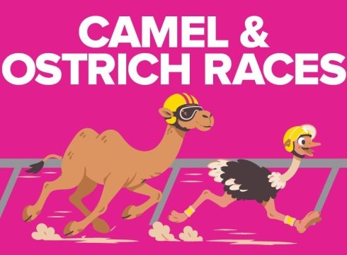 Camel and Ostrich Races