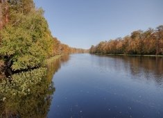 Pocomoke River State Park: Milburn Landing