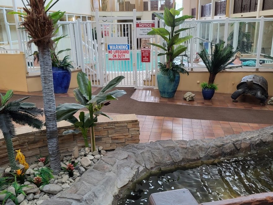 Atrium Cafe & Bar Atrium Cafe & Bar