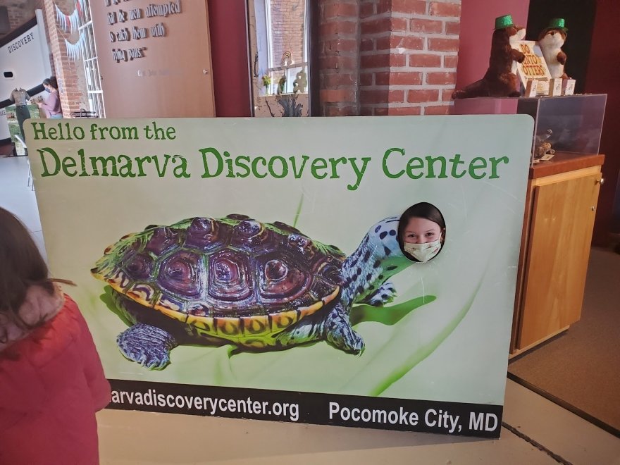 Delmarva Discovery Museum Delmarva Discovery Museum
