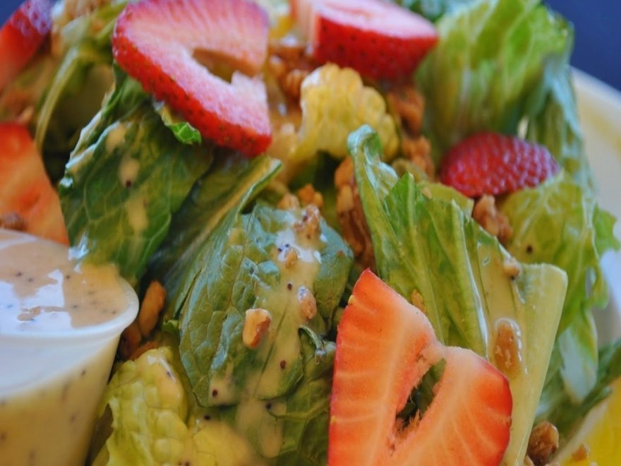 Dead Freddies Island Grill Dead Freddies Island Grill