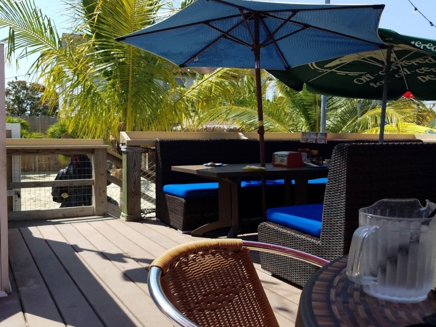 Dead Freddies Island Grill Dead Freddies Island Grill