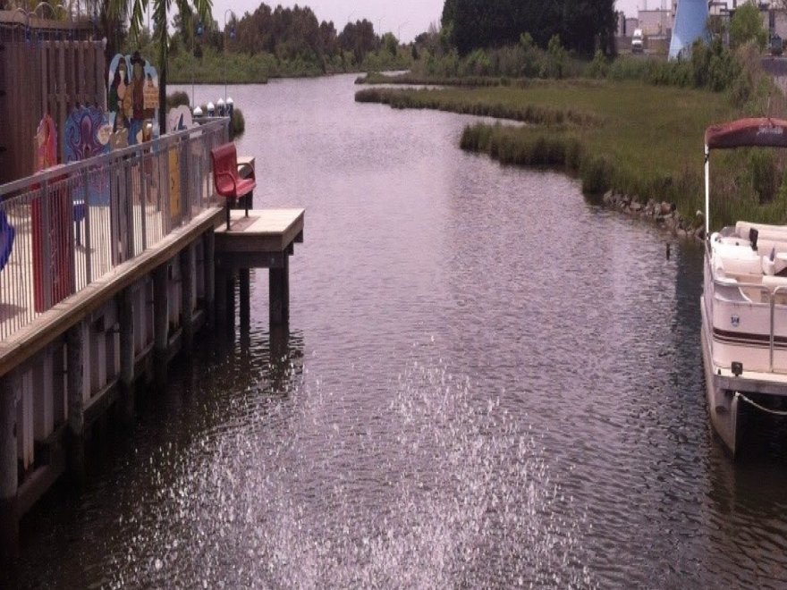 Dead Freddies Island Grill Dead Freddies Island Grill