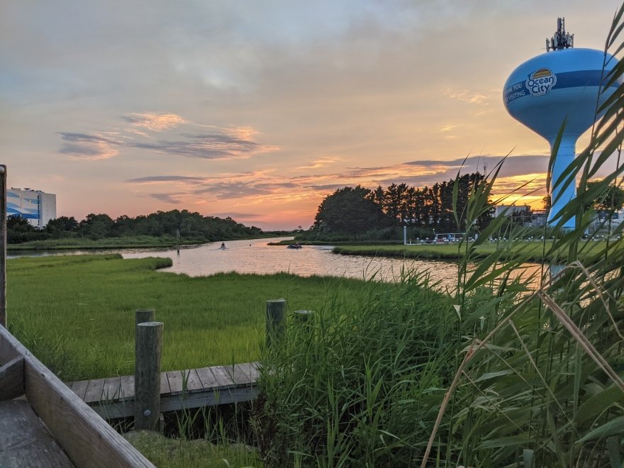 Dead Freddies Island Grill Dead Freddies Island Grill