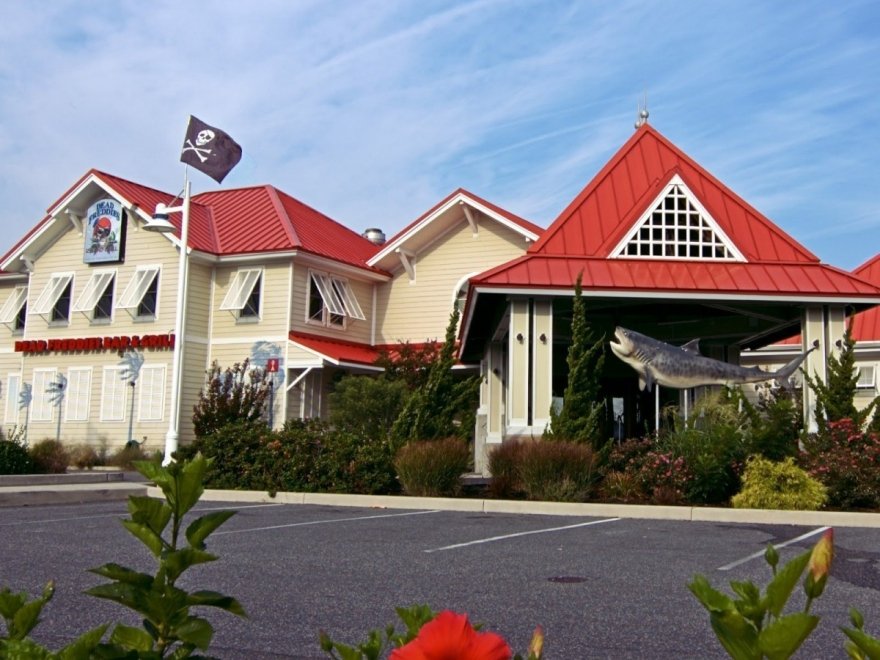 Dead Freddies Island Grill Dead Freddies Island Grill