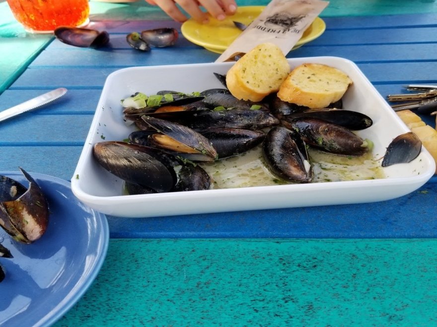 Dead Freddies Island Grill Dead Freddies Island Grill