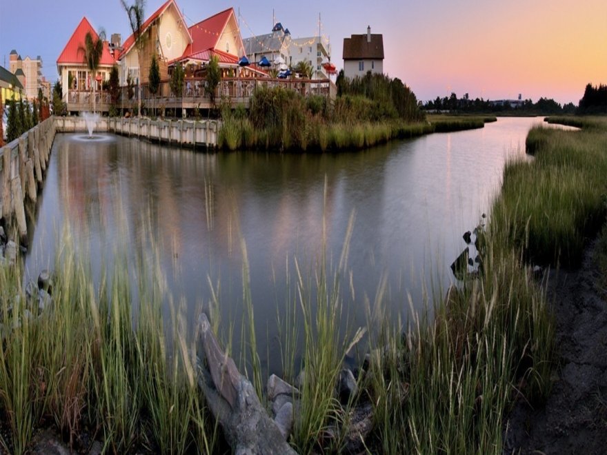 Dead Freddies Island Grill Dead Freddies Island Grill