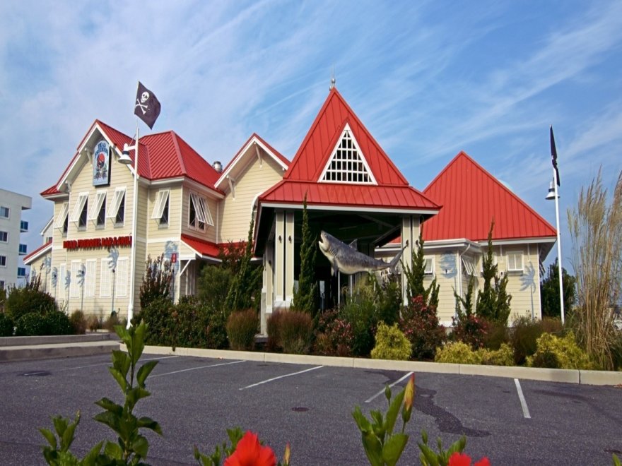 Dead Freddies Island Grill Dead Freddies Island Grill