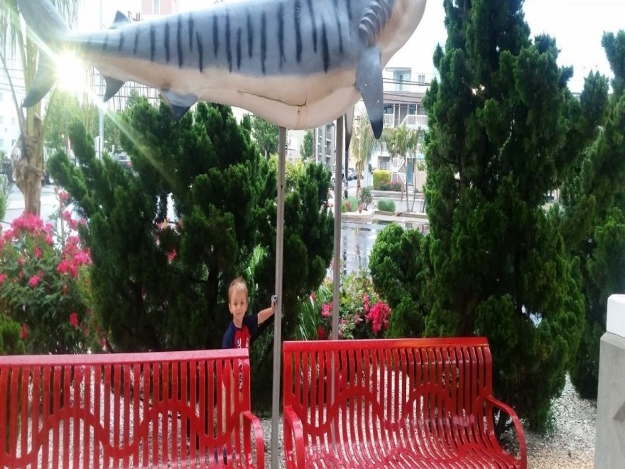 Dead Freddies Island Grill Dead Freddies Island Grill