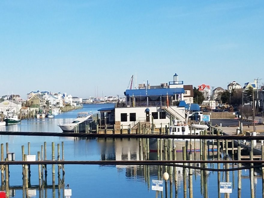Ocean City Marlin Club Inc Ocean City Marlin Club Inc