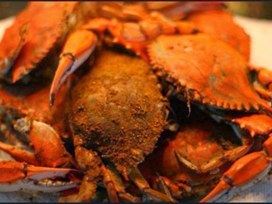 Waterman's Seafood Waterman's Seafood