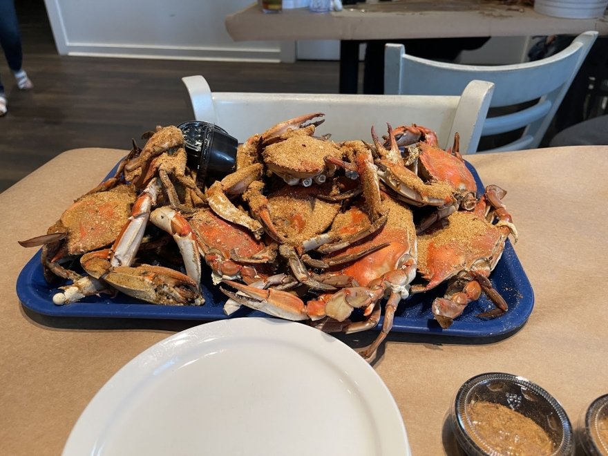 Waterman's Seafood Waterman's Seafood